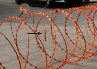 Snake Belly Razor Barbed Wire 500mm 10M Security Razor Wire Fencing