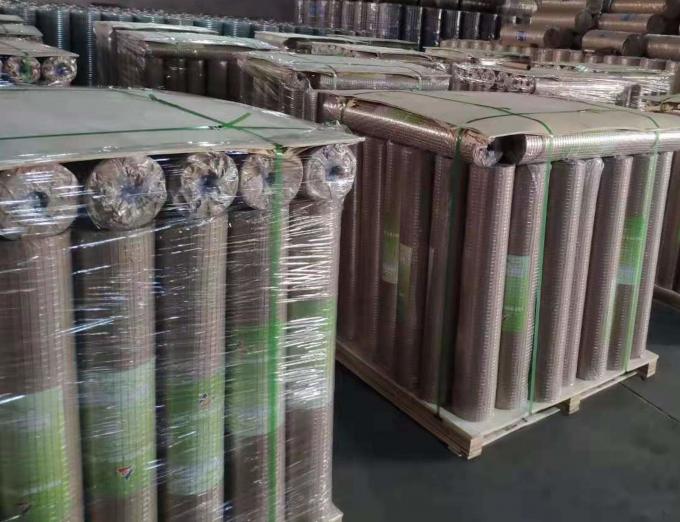Low Carbon Steel Wire Mesh 1/2X1/2 Galvanised Steel Wire Mesh 30m